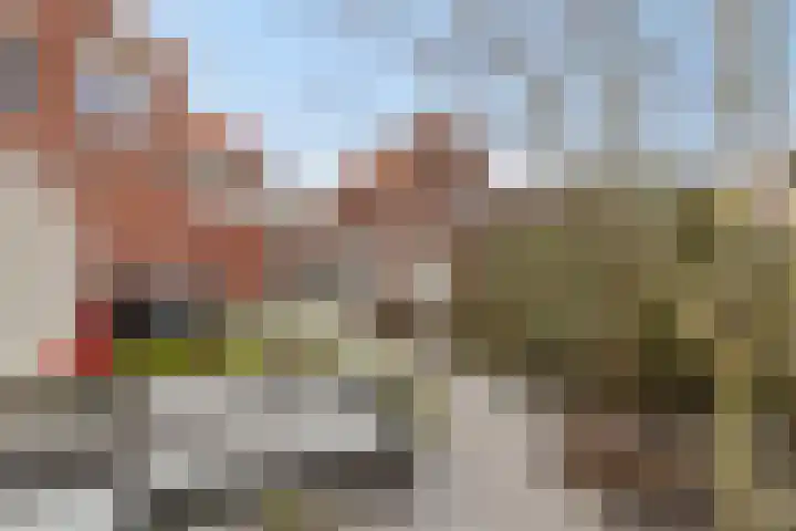 Nico Kolenbergstraat 20 Lutjebroek thumbnail 23
