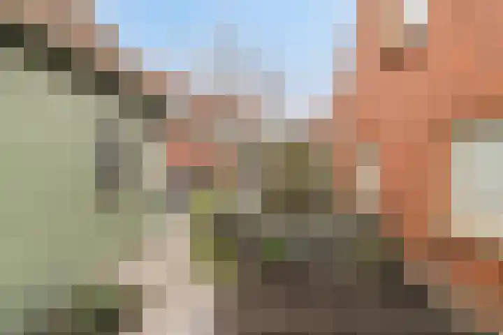 Nico Kolenbergstraat 20 Lutjebroek thumbnail 24