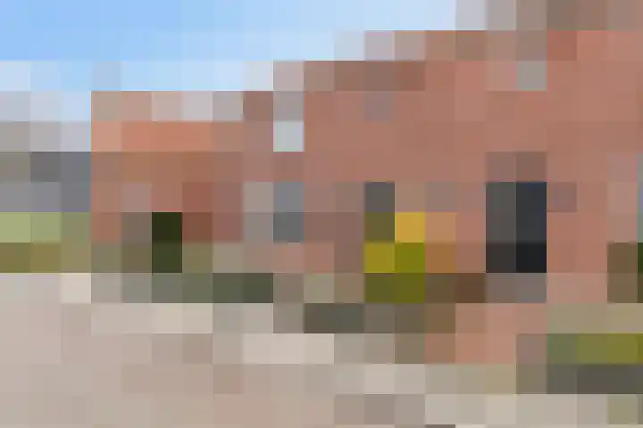 Nico Kolenbergstraat 20 Lutjebroek thumbnail 30