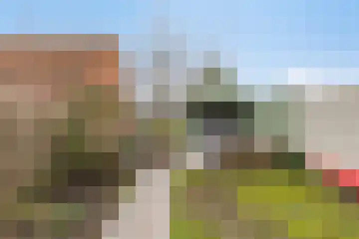 Nico Kolenbergstraat 20 Lutjebroek thumbnail 6