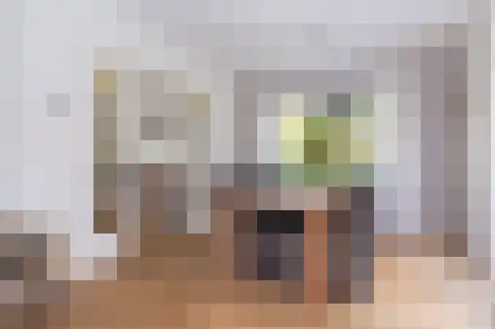 Nico Kolenbergstraat 57 Lutjebroek thumbnail 16