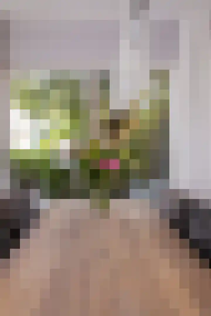 Nico Kolenbergstraat 57 Lutjebroek thumbnail 17