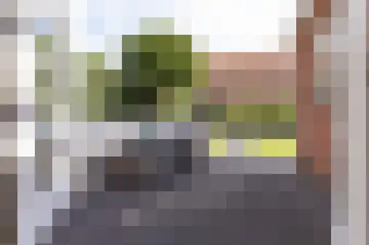 Nico Kolenbergstraat 57 Lutjebroek thumbnail 23