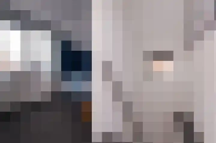 Nico Kolenbergstraat 57 Lutjebroek thumbnail 41