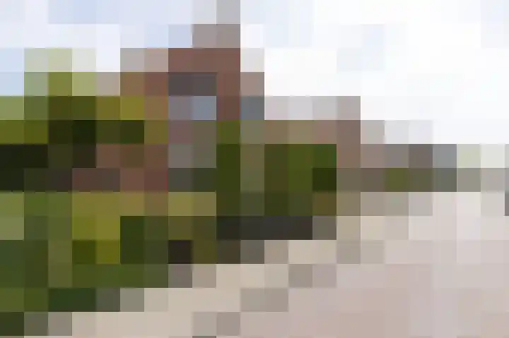 Nico Kolenbergstraat 57 Lutjebroek thumbnail 47