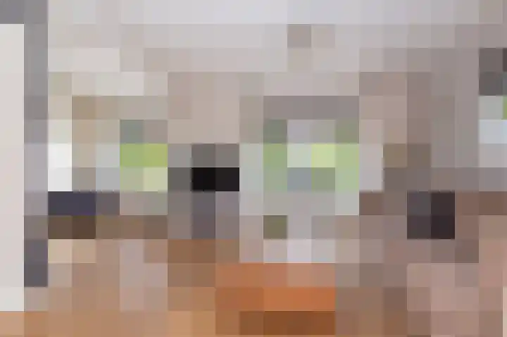 Nico Kolenbergstraat 57 Lutjebroek thumbnail 8