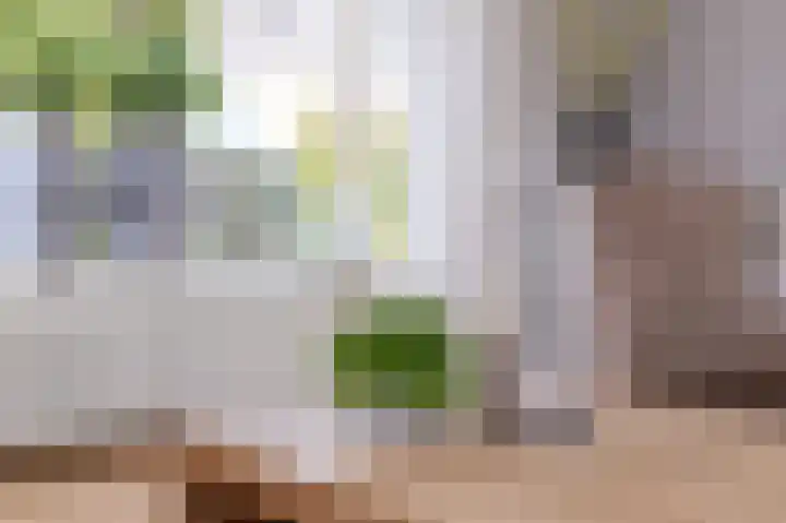Nico Kolenbergstraat 57 Lutjebroek thumbnail 9