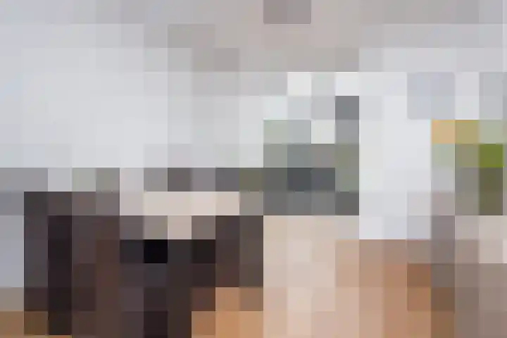 Nico Kolenbergstraat 62 Lutjebroek thumbnail 10