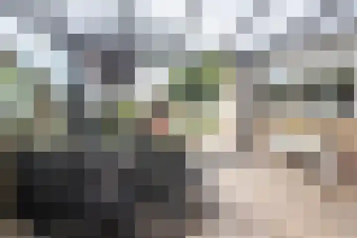 Nico Kolenbergstraat 62 Lutjebroek thumbnail 11