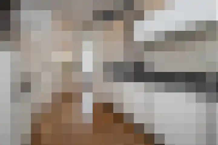 Nico Kolenbergstraat 62 Lutjebroek thumbnail 13