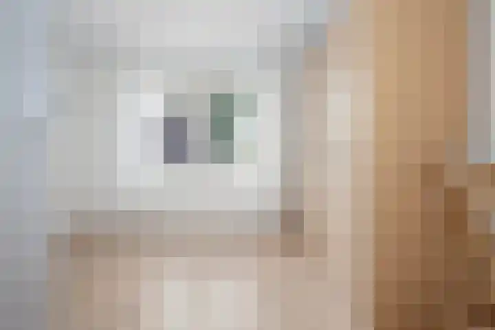 Nico Kolenbergstraat 62 Lutjebroek thumbnail 23