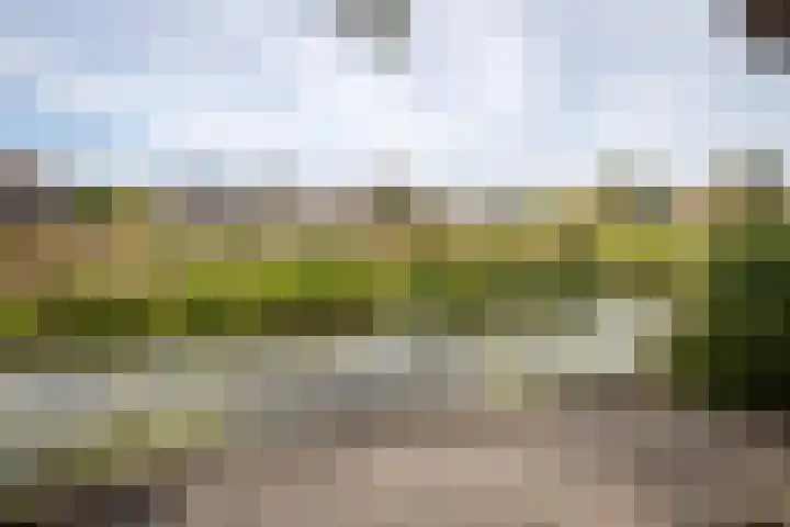 Nico Kolenbergstraat 62 Lutjebroek thumbnail 31