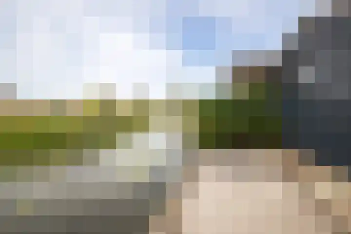 Nico Kolenbergstraat 62 Lutjebroek thumbnail 33