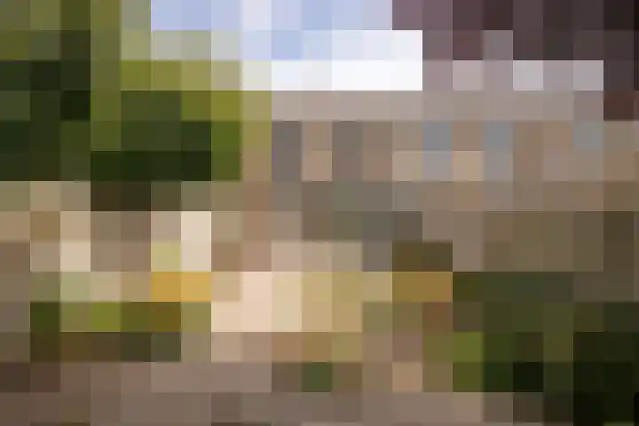 Nico Kolenbergstraat 62 Lutjebroek thumbnail 34