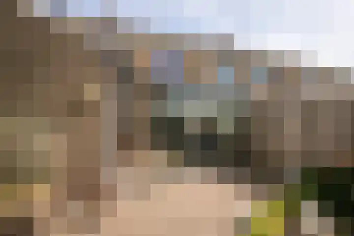 Nico Kolenbergstraat 62 Lutjebroek thumbnail 36