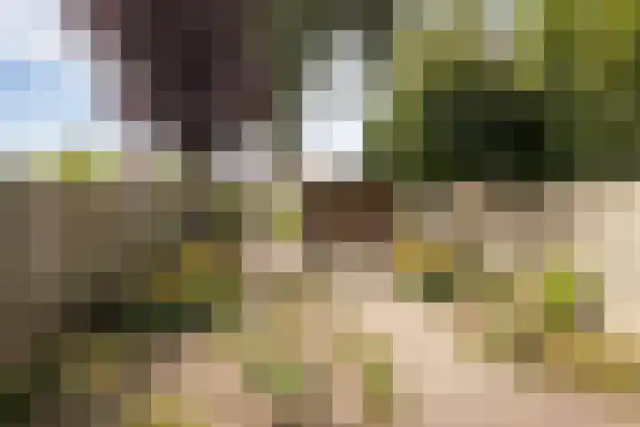 Nico Kolenbergstraat 62 Lutjebroek thumbnail 37
