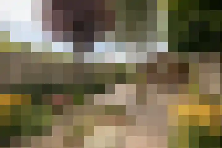 Nico Kolenbergstraat 62 Lutjebroek thumbnail 38
