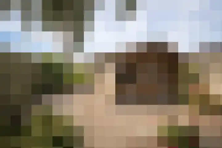 Nico Kolenbergstraat 62 Lutjebroek thumbnail 39