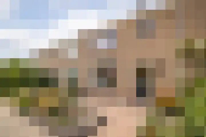 Nico Kolenbergstraat 62 Lutjebroek thumbnail 40