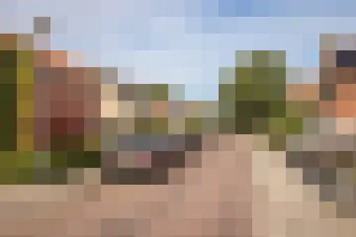 Nico Kolenbergstraat 62 Lutjebroek thumbnail 41
