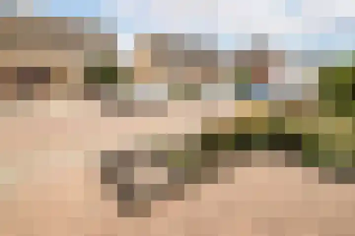 Nico Kolenbergstraat 62 Lutjebroek thumbnail 6