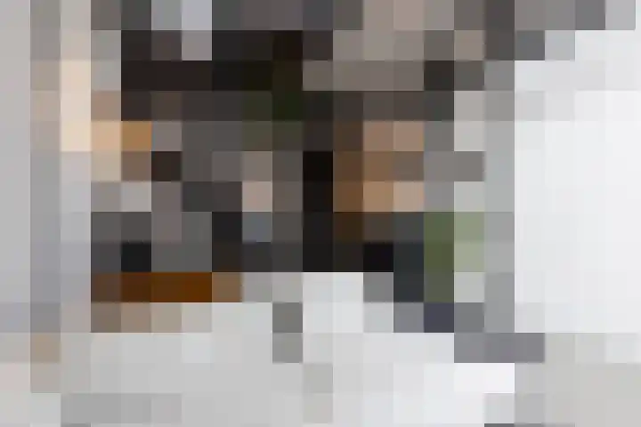 Nico Koomanskade 100 Rotterdam thumbnail 17