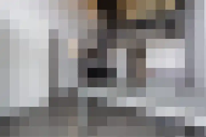 Nico Koomanskade 100 Rotterdam thumbnail 7