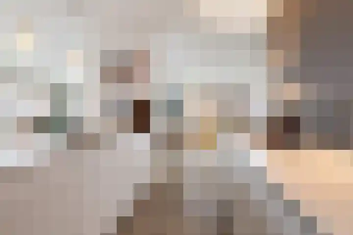 Nico Koomanskade 327 Rotterdam thumbnail 17