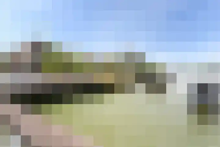 Nico Koomanskade 648 Rotterdam thumbnail 21