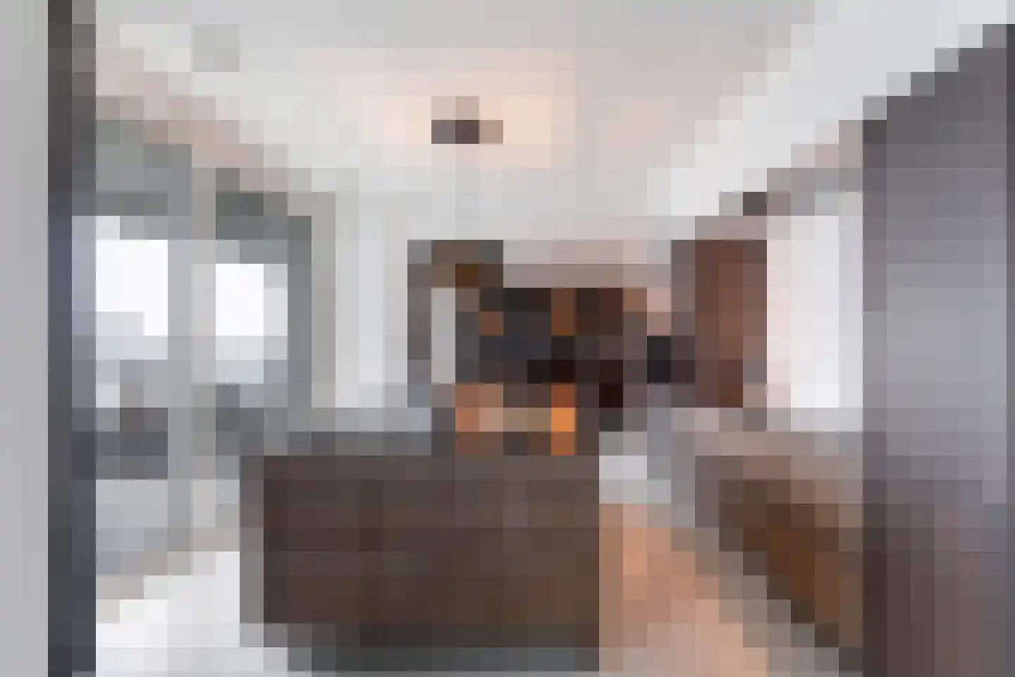 Nico Koomanskade 707 Rotterdam thumbnail 23
