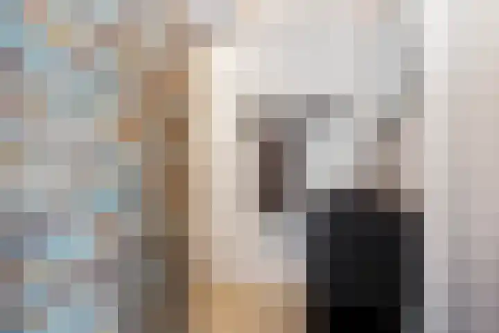 Nico Koomanskade 919 Rotterdam thumbnail 15