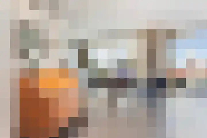 Nico Koomanskade 919 Rotterdam thumbnail 6