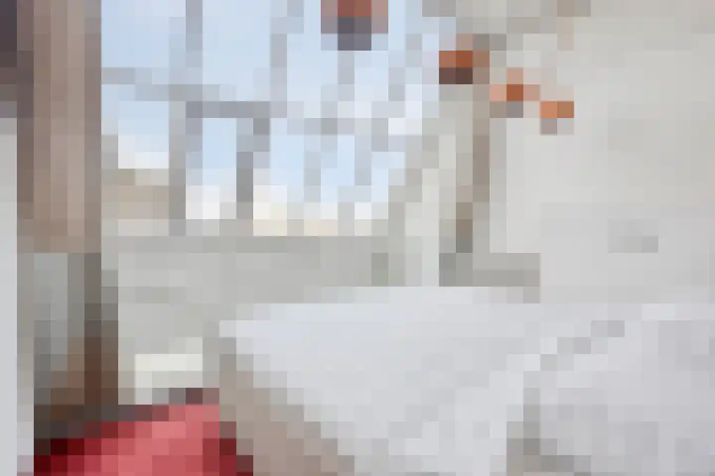 Nico Koomanskade 98 Rotterdam thumbnail 40