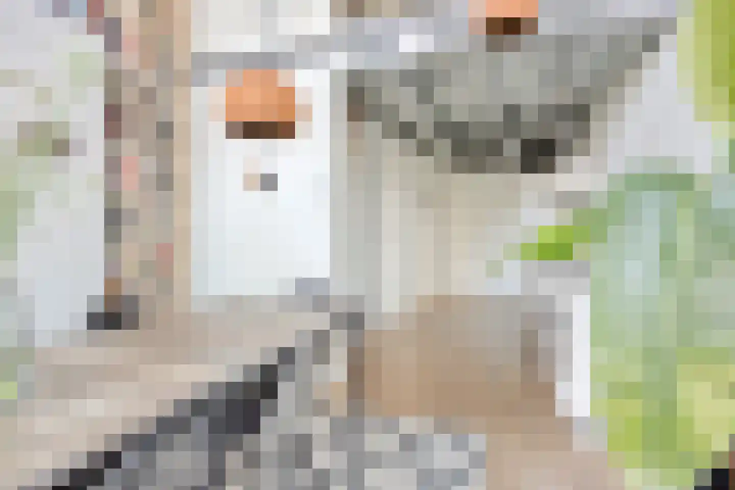 Nico Koomanskade 98 Rotterdam thumbnail 5