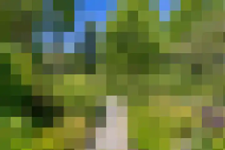 Nico Rostlaan 13 Groningen thumbnail 10