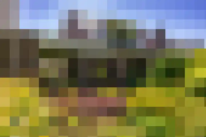 Nico Rostlaan 13 Groningen thumbnail 11