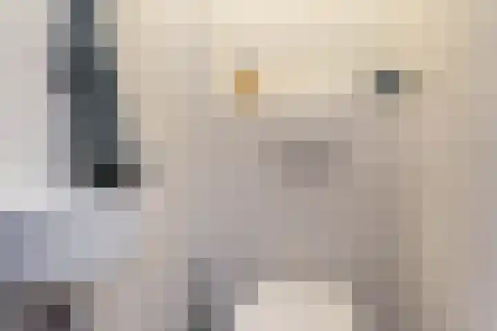 Nico Rostlaan 13 Groningen thumbnail 15