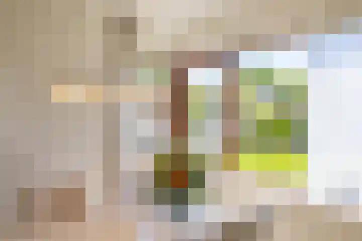Nico Rostlaan 13 Groningen thumbnail 25