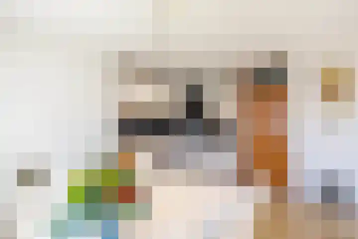 Nico Rostlaan 13 Groningen thumbnail 26