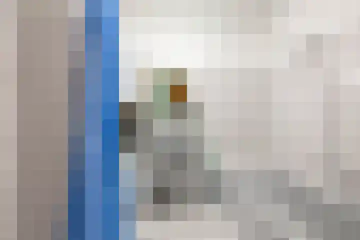 Nico Rostlaan 13 Groningen thumbnail 33