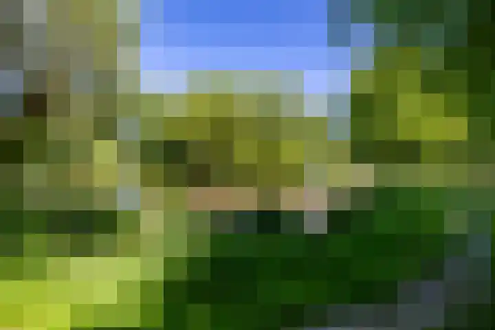 Nico Rostlaan 13 Groningen thumbnail 4