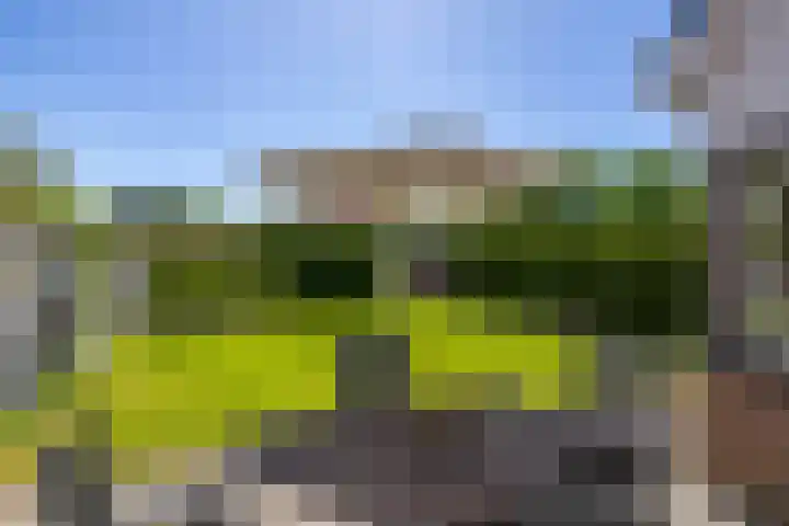 Nico Rostlaan 13 Groningen thumbnail 48