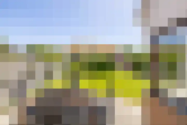 Nico Rostlaan 13 Groningen thumbnail 49