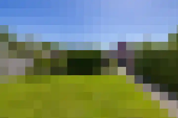 Nico Rostlaan 13 Groningen thumbnail 50
