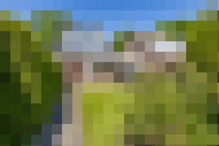 Nico Rostlaan 13 Groningen thumbnail 54