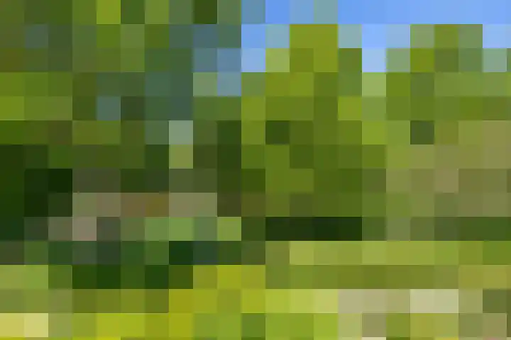 Nico Rostlaan 13 Groningen thumbnail 57
