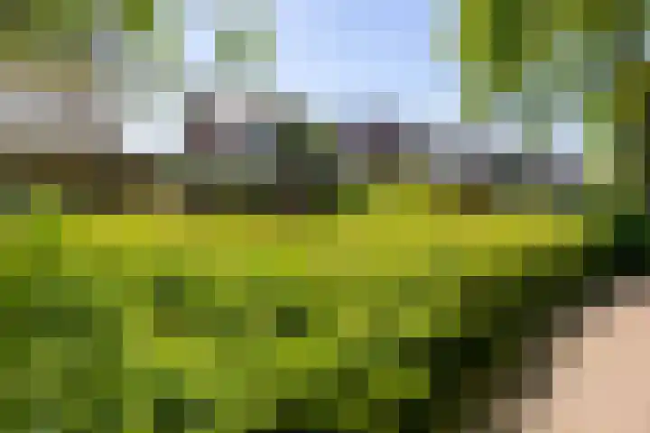 Nico Rostlaan 13 Groningen thumbnail 64