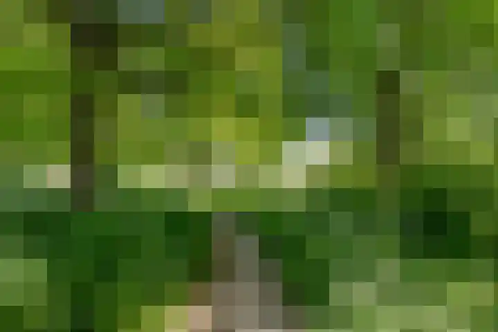 Nico Rostlaan 13 Groningen thumbnail 7