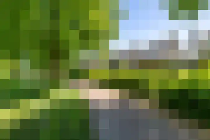 Nico Rostlaan 13 Groningen thumbnail 8
