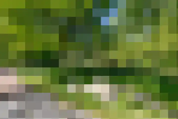 Nico Rostlaan 13 Groningen thumbnail 9